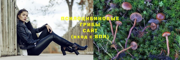 марки lsd Саяногорск