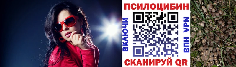 купить наркотик  Терек  Псилоцибиновые грибы ЛСД 